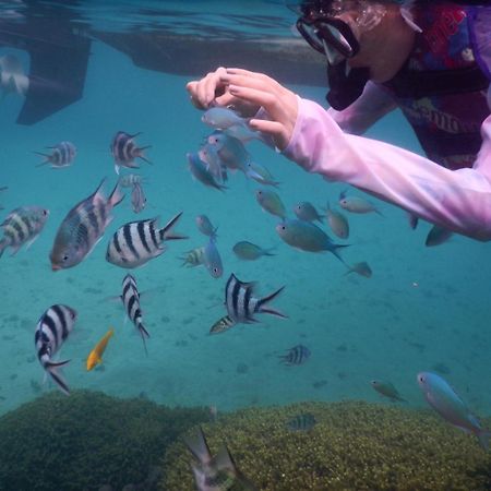 ゲストハウス備瀬の海 מראה חיצוני תמונה