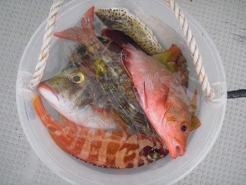 ゲストハウス備瀬の海 מראה חיצוני תמונה